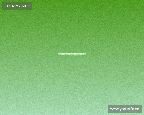 大鲨鱼官网全新上线带来丰富产品资讯与精彩互动体验